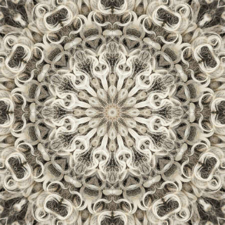 wool sheep abstract geometric pattern symmetry asian. illustration.の写真素材
