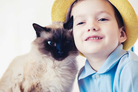 cat child balinese together play kid happy. friend affection.の写真素材