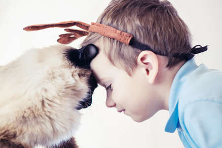 cat child balinese together play kid happy. young caucasian.の写真素材