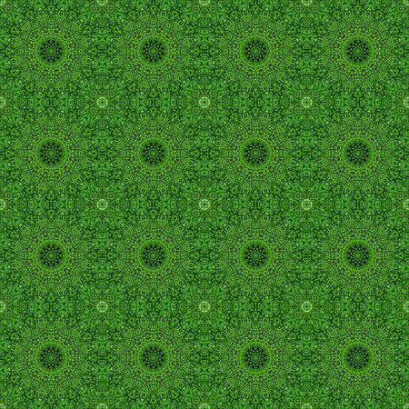flower summer floral seamless pattern kalamkari background. blossom mandala.