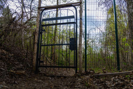 Arch creeper plant entrance gate with sunlight in the garden. Magic tree background.の写真素材