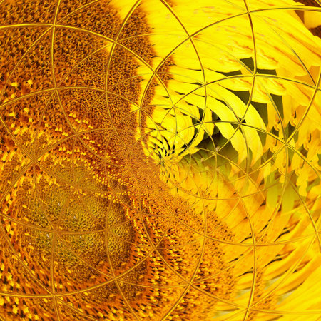 design spiral symmetry illustration geometric background pattern. geometry.