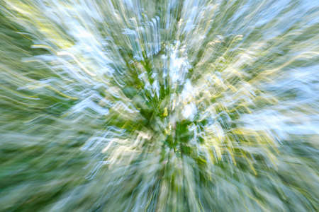 Abstract green bloom flower of tree background of tree in countryside outdoors. Zoom blossom speed blured motion. Created by zooming out.の写真素材
