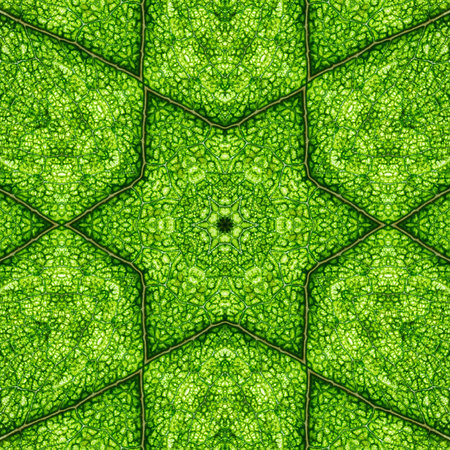 flower summer floral seamless pattern kalamkari background. abstract mandala.
