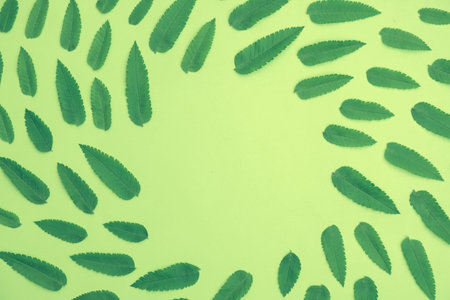 Spring background nature concept leaf plant pattern forest, creative greenery.