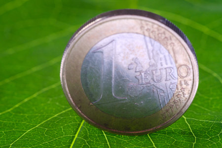 Golden euro coins with young plant. Money growth concept.