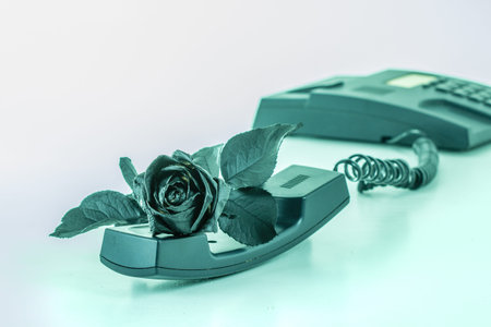 The concept idea is bad news. Sad message, the mood of melancholy, sadness and sorrow. Black rose...