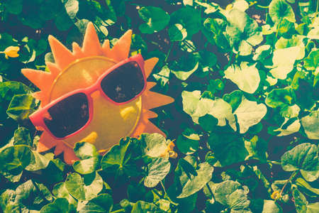 Sun summer sunglasses yellow concept vacation travel, grass accessory.の写真素材