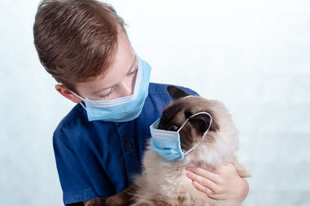 Mask coronavirus covid 19 flu respiratory protection, cat virus.の写真素材