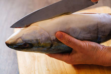 Cutting raw fish tuna food slice on board, cut.の写真素材