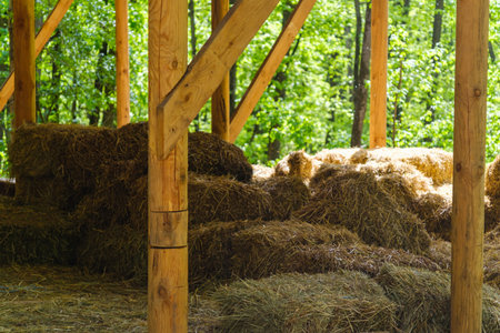 Storage hay agriculture rural straw farm barn, farming store.