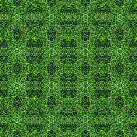 flower summer floral seamless pattern kalamkari background. nature mandala.の写真素材