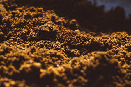 ground aromatic fragrant coffee texture macro beans background