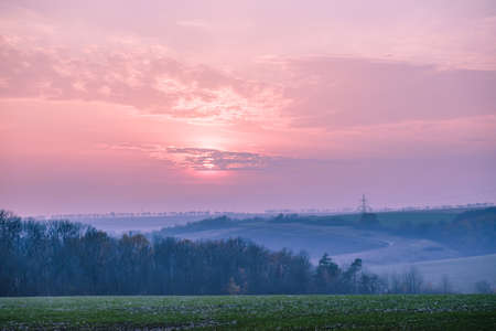 Sunrise sunset field grass meadow nature summer, environment green.の写真素材