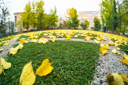 fall Autumn Soccer field with grass green, football artificial lawn. turf line