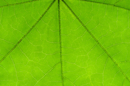 background backlight backlit button closeup computer illumination, technology.の写真素材