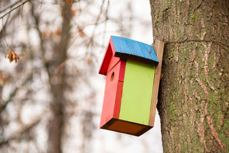 Bird house nest birdhouse hole garden spring. summer smallの写真素材