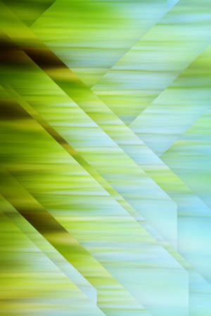 World environment green tree day texture gradient concept. Abstract blurred trees texture autumn sunset background. Copy space design.の写真素材