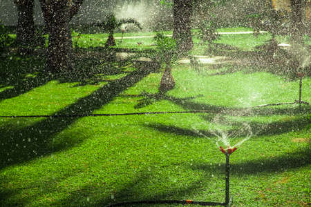 Water hose green grass wet summer garden. fresh environmentの写真素材