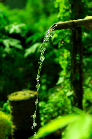 Natureの写真素材