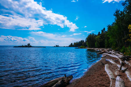 Lake shoreline with logs on the shore, forest and blue sky with cloudsの写真素材