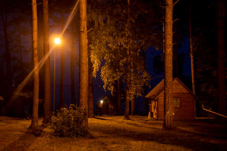 Tourist base with small wooden houses in the forest at nightの写真素材