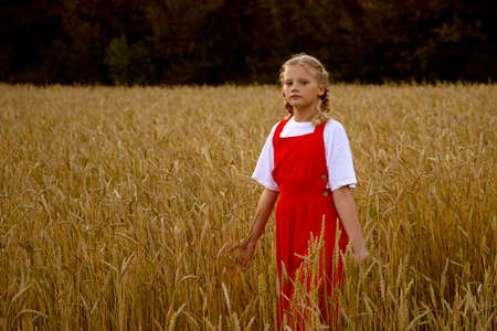 A girl in a red dress walks in a wheat fieldの写真素材