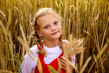 Young girl with blond hair in a wheat fieldの写真素材