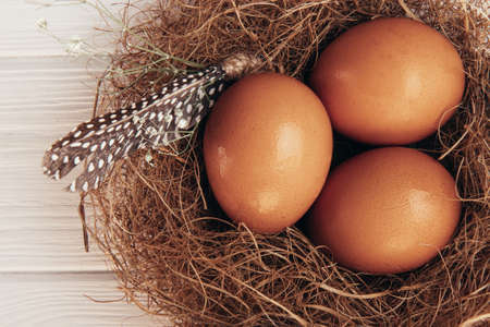 Chicken eggs in a nest on a white wooden backgroundの写真素材