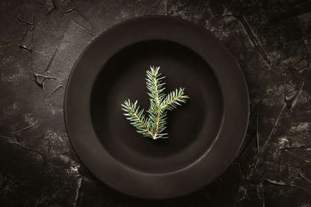 Fir branch on black plate and black background, concept of minimalistic dark christmas background. High quality photoの写真素材