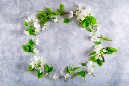 Frame of branches of a white blooming apple tree on a light gray background top view, spring and...