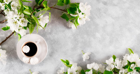 Web banner. Branches of a white blooming apple tree and a cup of coffee on a light gray background...