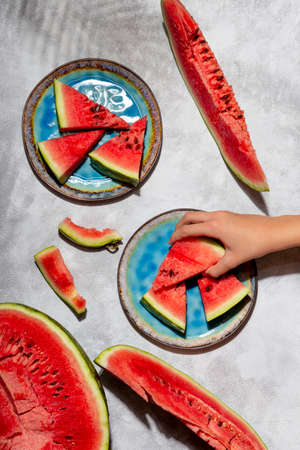 Pieces of watermelon on plates and gray background, photo with trendy sunlight and shadows from palm trees, vertical photoの写真素材
