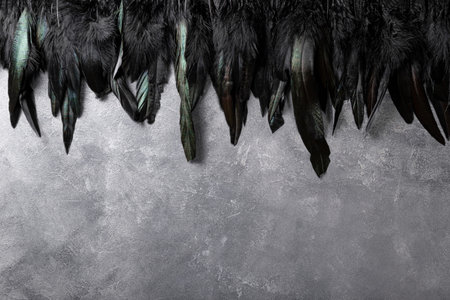 Gray textured background with black feathers frame, background with free space for text