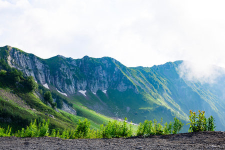 Beautiful view on a green mountain valley, background with nature
