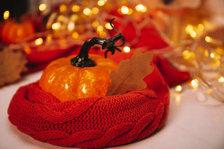 Orange autumn pumpkin in a scarf with beautiful bokeh photo with copy space for textの写真素材