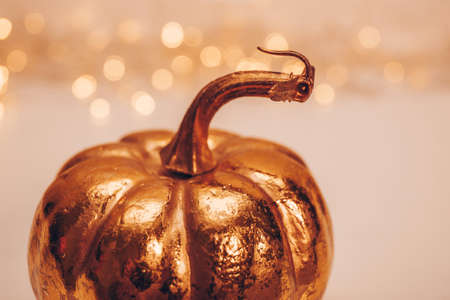 Golden autumn pumpkin on a light background with beautiful bokehの写真素材