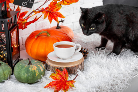 A cup of tea with lemon, autumn leaves, pumpkins and a black cat. The concept of a cozy autumn at home. High quality photoの写真素材