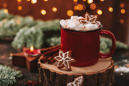 A red mug of cocoa with marshmallows and Christmas cookies in a New Years setting. Cozy Christmas cardの写真素材