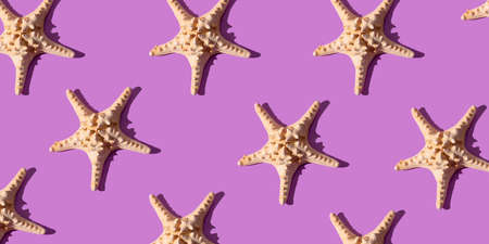 Starfishes pattern on the purple background, modern web banner on sea travel themeの写真素材