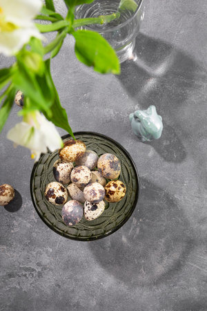 Quail eggs on the bowl and white spring flowers on the gray background, top view, vertical photo....