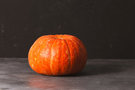 Autumn pumpkin on a black background. High quality photoの写真素材