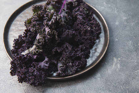 Dark kale cabbage on a gray background, superfood for healthy eating. High quality photoの写真素材
