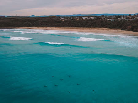 Dolphins swimming in the water at Ulladullaの写真素材