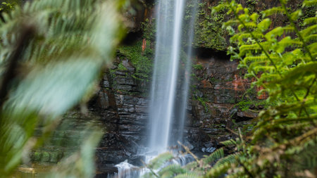 Belmore Falls waterfall, NSW, Australia