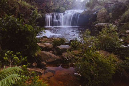 Waterfall in the Budderoo National Park, Nellies Glen in Australiaの写真素材