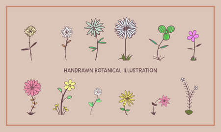 Hand drawn flowers illustration.Different colors and styles.のイラスト素材
