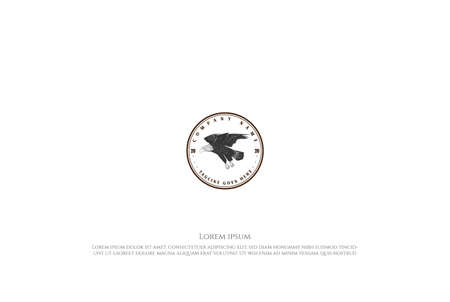 Vintage Retro Flying Eagle Falcon Hawk Badge Emblem Label Logo Design Vectorのイラスト素材
