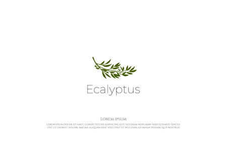 Green Eucalyptus Branch Leaf for Nature Oil Product Logo Design Vectorの写真素材