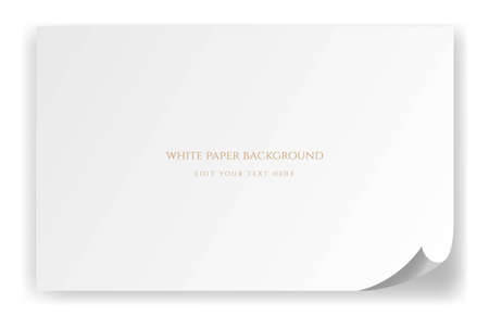 Simple Minimalist Elegant Luxury Blank White Paper Background Design Vectorのイラスト素材